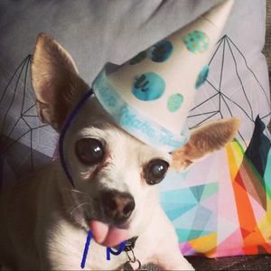 Meet your Posher, Cj